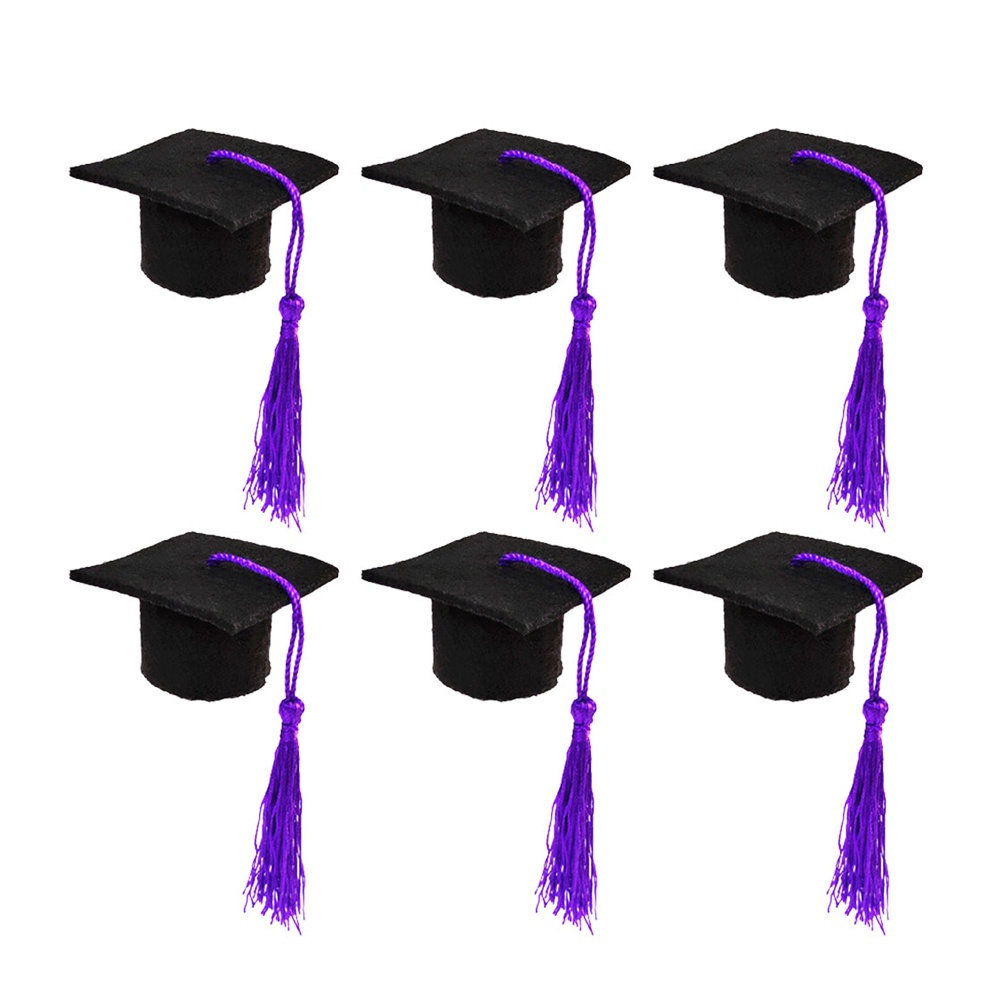 6Pcs Doctoral Cover Mini Docto - Wine Beer Hat 评论和价格