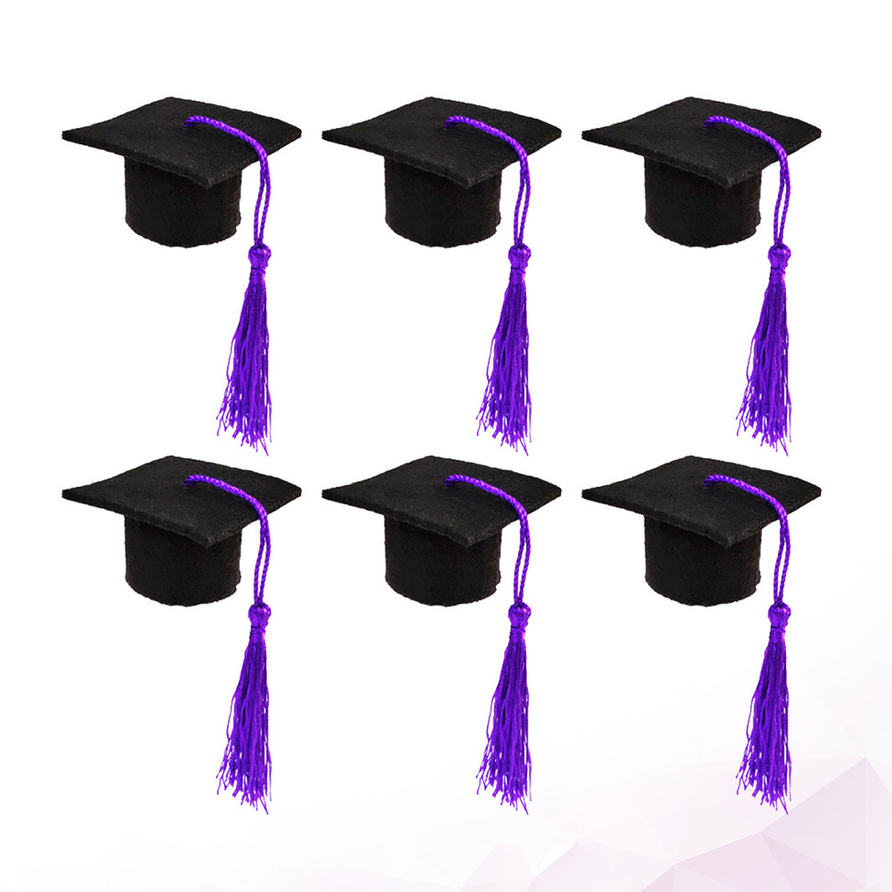 6Pcs Doctoral Cover Mini Docto - Wine Beer Hat 评论和价格